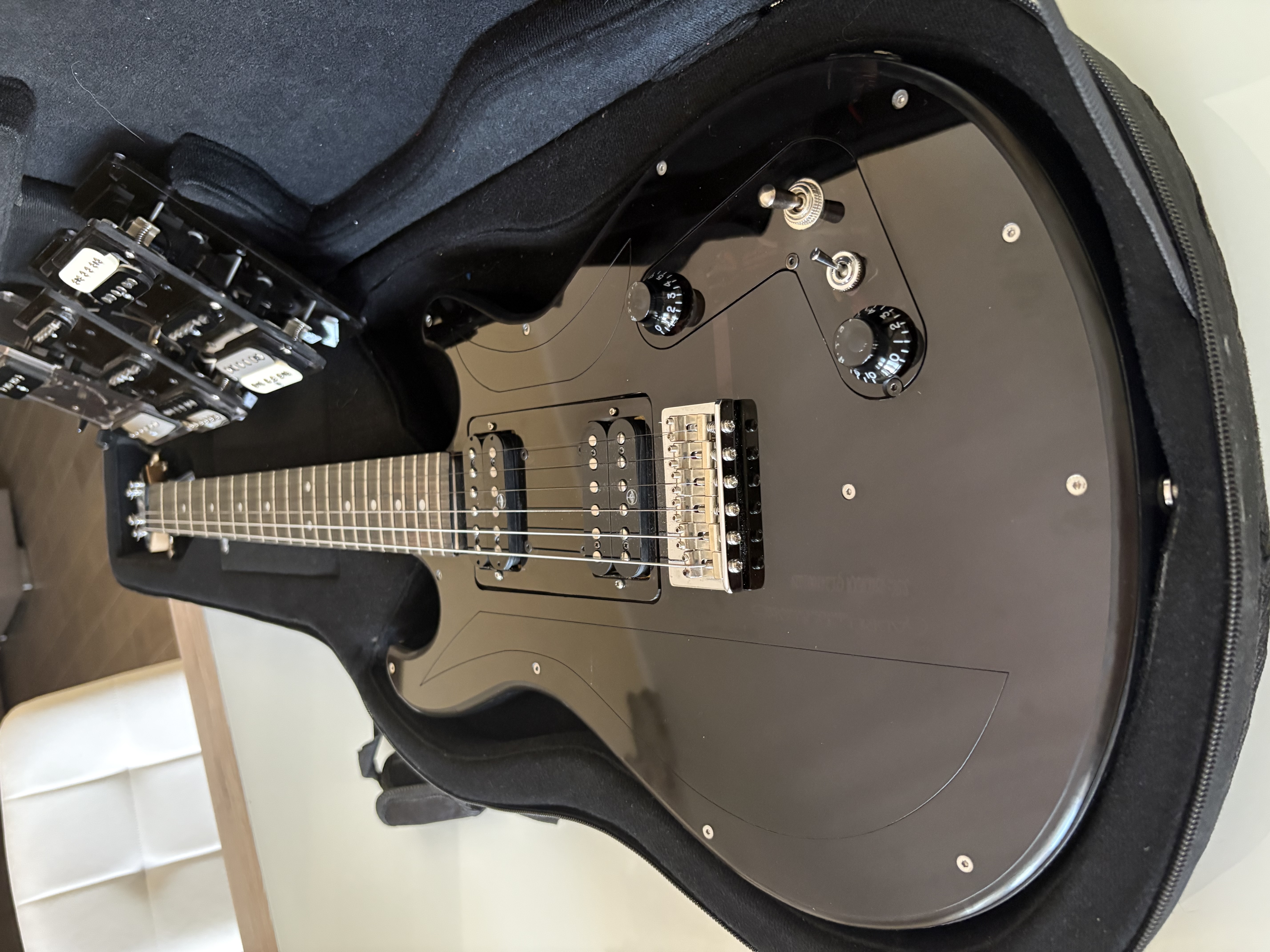 BERTOZZI GUITARS 4 set pickup + ELETTRONICA GIGBAG SEMIRIGIDO SCAMBIO LIUTERIA