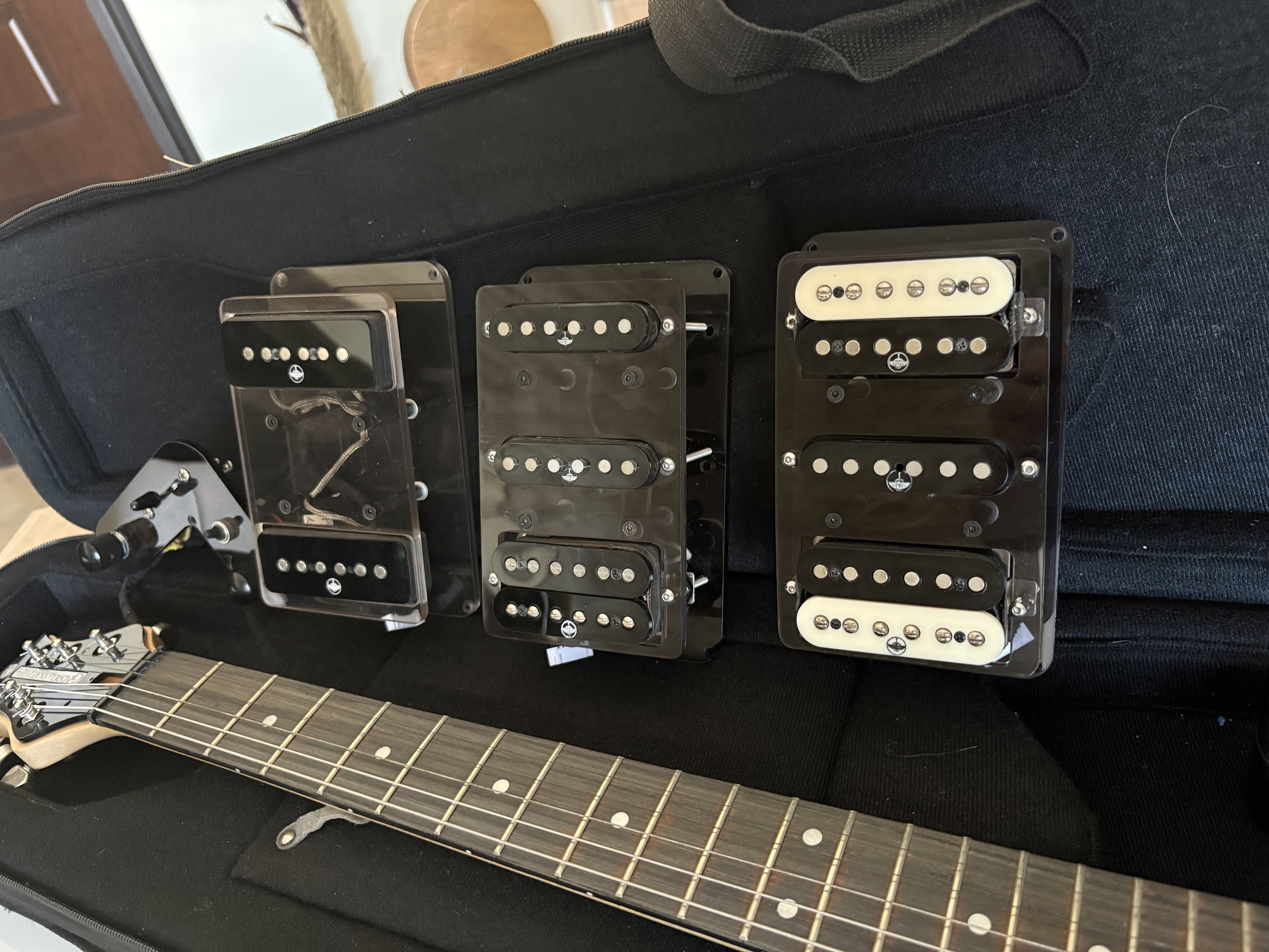 BERTOZZI GUITARS 4 set pickup + ELETTRONICA GIGBAG SEMIRIGIDO SCAMBIO LIUTERIA